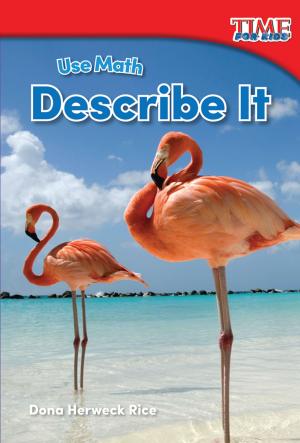 Cover of the book Use Math: Describe It by Dianne Irving