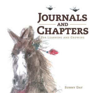Cover of the book Journals and Chapters by Cece Akunna