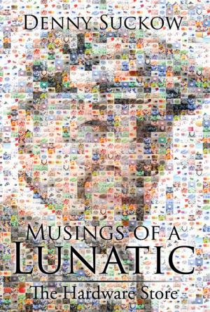 Cover of the book Musings of a Lunatic by Larry D. James