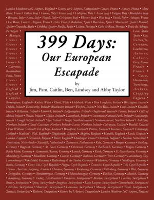 Cover of the book 399 Days by Andre Zemnovitsch