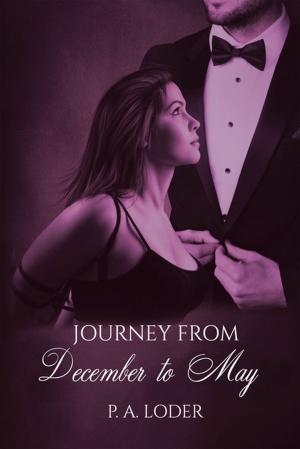 bigCover of the book Journey from December to May by 