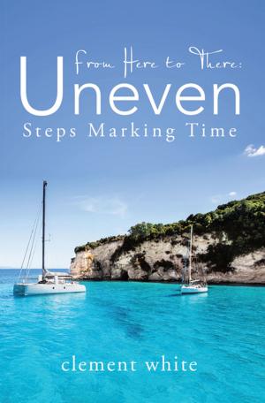 Book cover of From Here to There: Uneven Steps Marking Time