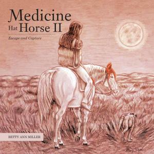 Cover of the book Medicine Hat Horse Ii by Mandana Abghari