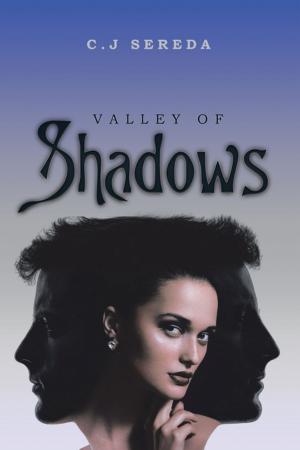 Book cover of Valley of Shadows