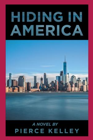 Book cover of Hiding in America