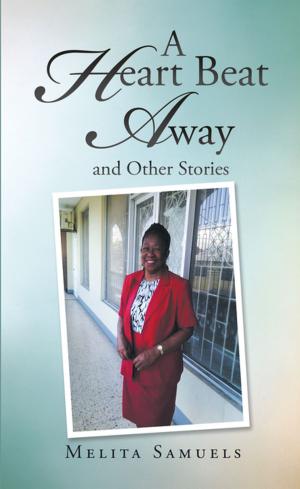 Cover of the book A Heart Beat Away and Other Stories by John Lindsay