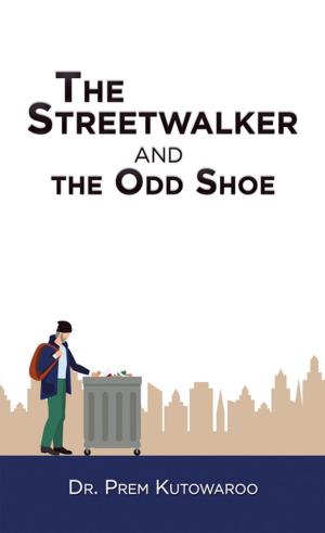 bigCover of the book The Streetwalker and the Odd Shoe by 