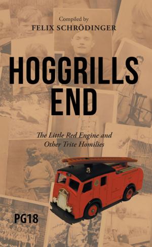 Cover of the book Hoggrills End by George G A Wensley