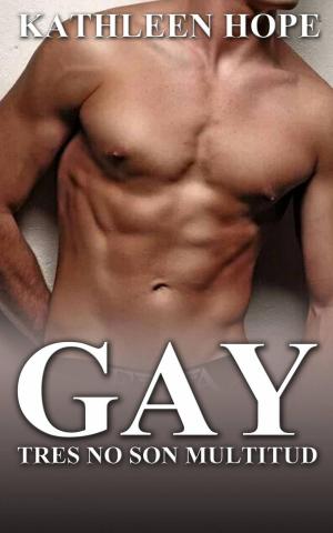 Book cover of Gay: Tres no son multitud
