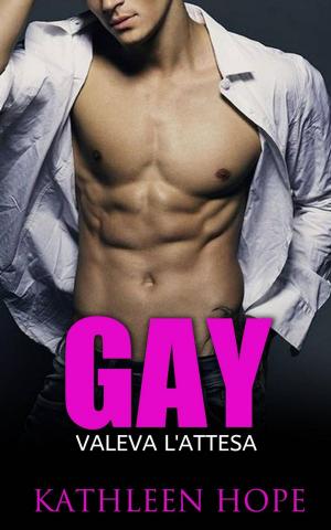 Book cover of Gay: Valeva l'attesa
