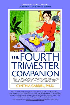 Cover of the book The Fourth Trimester Companion by Krissi Danielsson