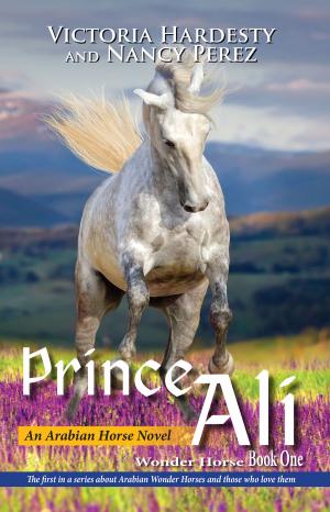 Book cover of Prince Ali