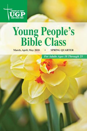 Cover of the book Young People's Bible Class by Yoshiko Tonegawa