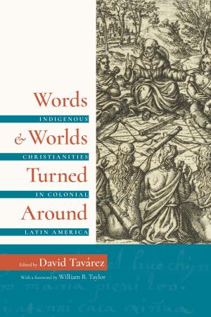 Cover of the book Words and Worlds Turned Around by Heather Winterer
