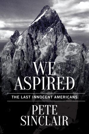 Book cover of We Aspired