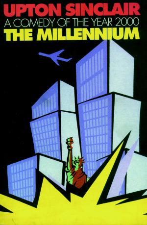 Cover of the book The Millennium by James Lecesne