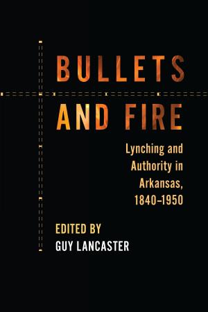 Cover of the book Bullets and Fire by Janelle Collins