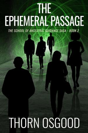 Book cover of The Ephemeral Passage