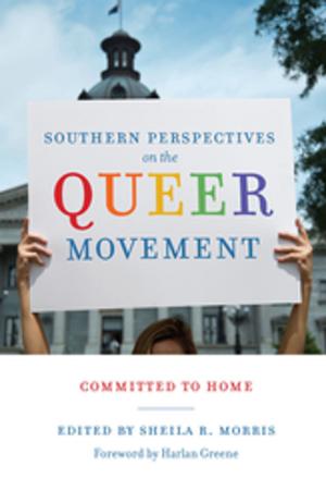 Cover of the book Southern Perspectives on the Queer Movement by Derek C. Maus, Linda Wagner-Martin