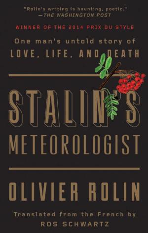 Cover of the book Stalin's Meteorologist by Mary Robison