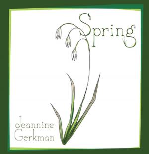 Cover of the book Spring by Fritz Knapp