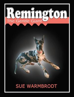 Cover of the book Remington by Nick Nilsson