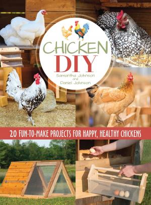 Book cover of Chicken DIY