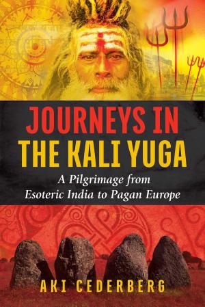 bigCover of the book Journeys in the Kali Yuga by 