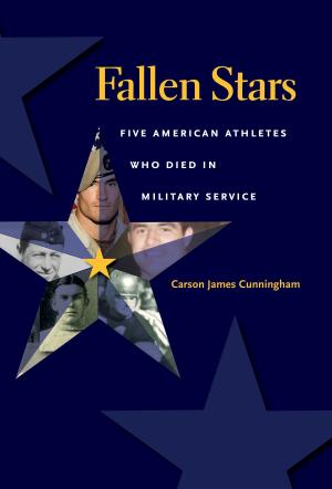 Cover of the book Fallen Stars by Dr. Daniel J. Gelo, Christopher J. Wickham, Heide Castañeda