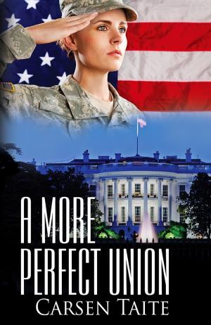Cover of the book A More Perfect Union by AJ Quinn