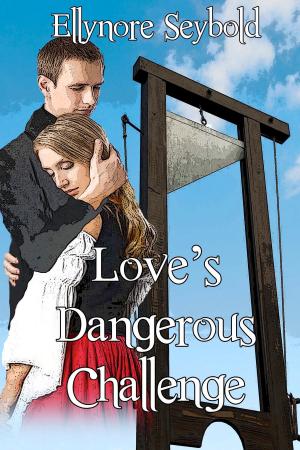 Cover of the book Love's Dangerous Challenge by B. K. Stevens