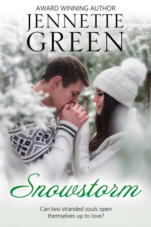 Cover of the book Snowstorm by Jennette Green