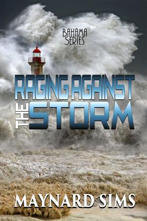 Cover of the book Raging Against the Storm by Donny Hunt