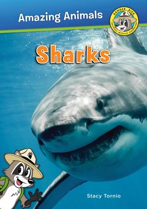Cover of the book Sharks by Sharyn A. Brotz