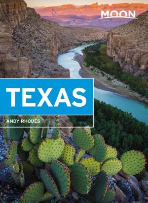 Cover of the book Moon Texas by Rick Steves, Gene Openshaw
