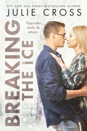 Cover of the book Breaking the Ice by Aubrie Dionne