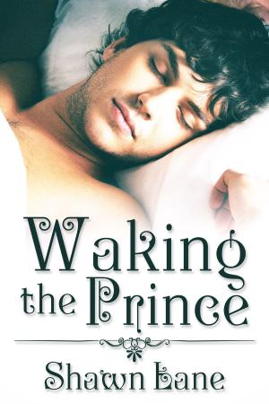 Cover of the book Waking the Prince by Edward Kendrick