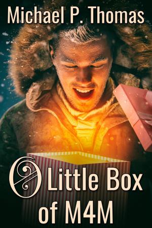 Cover of the book O Litlte Box of M4M by J.D. Walker