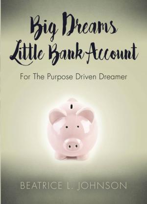 Cover of the book Big Dreams Little Bank Account by Jim Throne
