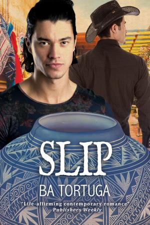 Cover of the book Slip by Rick R. Reed