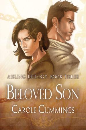 Cover of the book Beloved Son by Andrew Grey