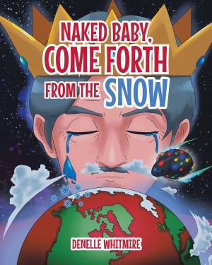 Cover of the book Naked Baby, Come Forth from the Snow by Dan Tolva
