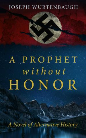 Cover of the book A Prophet Without Honor by Andrew Means