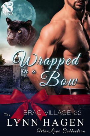 Cover of the book Wrapped in a Bow by Becca Van