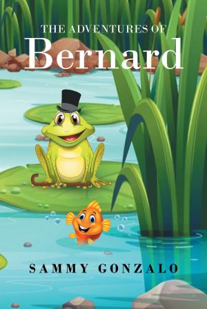 Cover of the book The Adventures of Bernard by David Hult