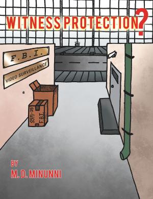 Cover of the book Witness Protection? by Peter Triolo Jr.