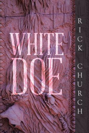 Cover of the book White Doe by Jeffrey Probst