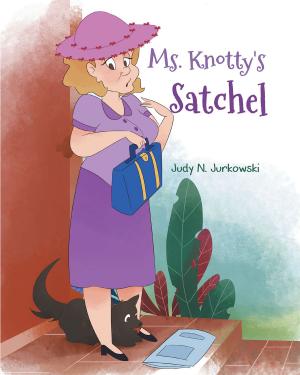 Cover of the book Ms. Knotty's Satchel by David Z Lovett