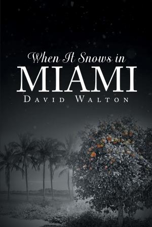 Cover of the book When It Snows In Miami by Rev. Dr. Albert J. Harris Jr.