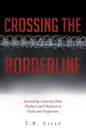 Cover of the book Crossing The Borderline by Hannah Rain